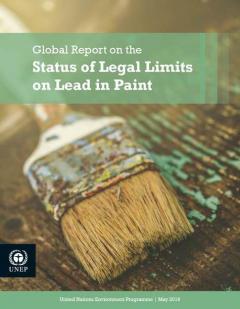 Report cover image (by UNEP) AEJI story